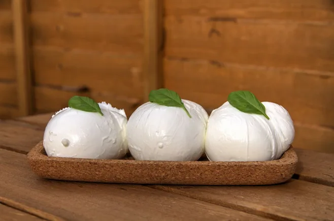 mozzarella.alert1 medical alert systems mozzarella.alert1 medical alert systems