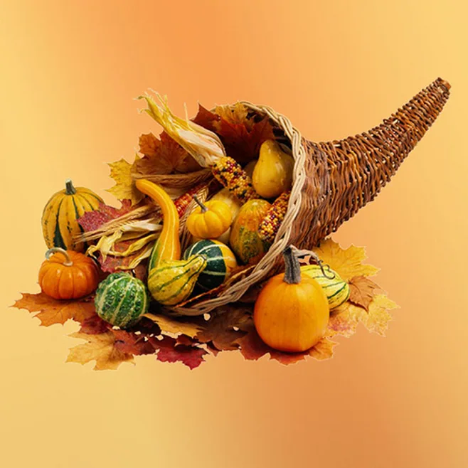 cornucopia cornucopia