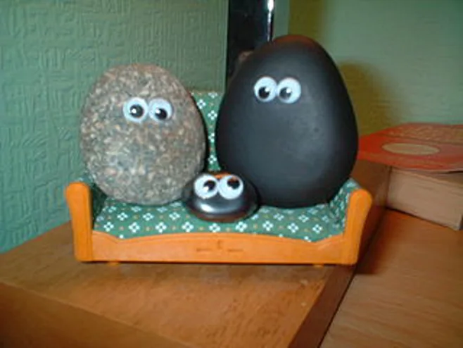 pet rocks pet rocks