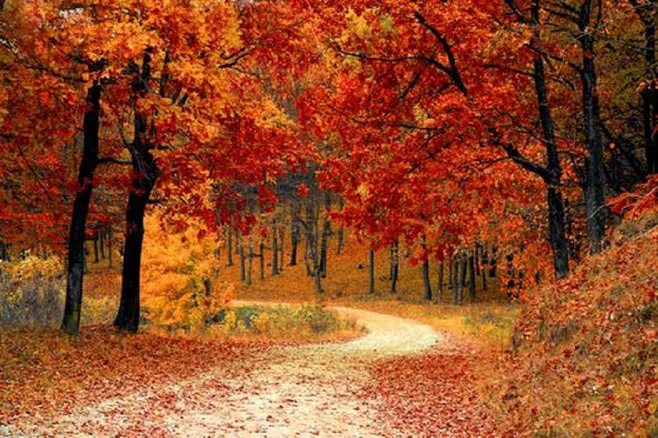 fall fall