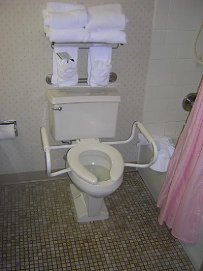 toilet with handles toilet with handles