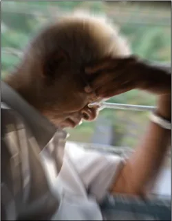 Alert1 Elderly Man Holding Head Alert1 Elderly Man Holding Head