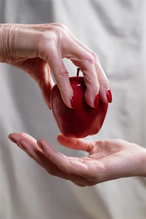 Bright Red Apple Passing From Hands Bright Red Apple Passing From Hands
