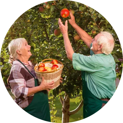 Fall Activities for Seniors Fall Activities for Seniors