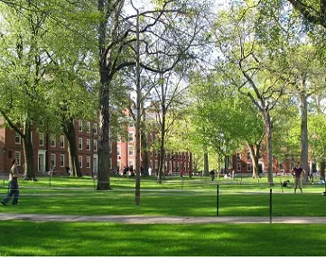 Harvard university yard Harvard university yard