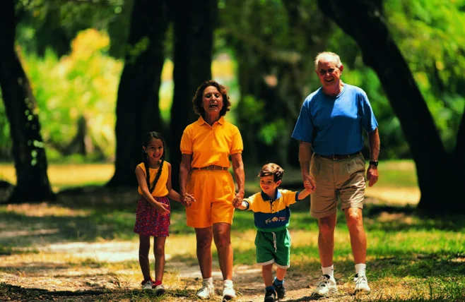 two grandkids hold grandparents hands two grandkids hold grandparents hands