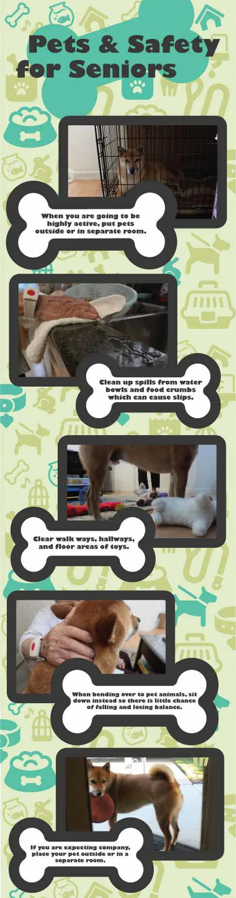Pets & Safety for Seniors Pets & Safety for Seniors