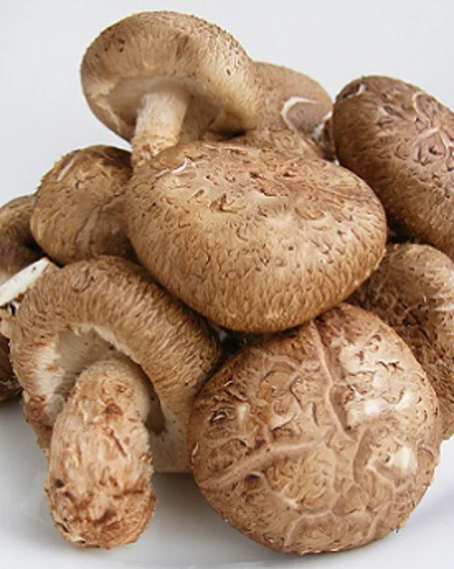 Shiitake mushrooms Shiitake mushrooms