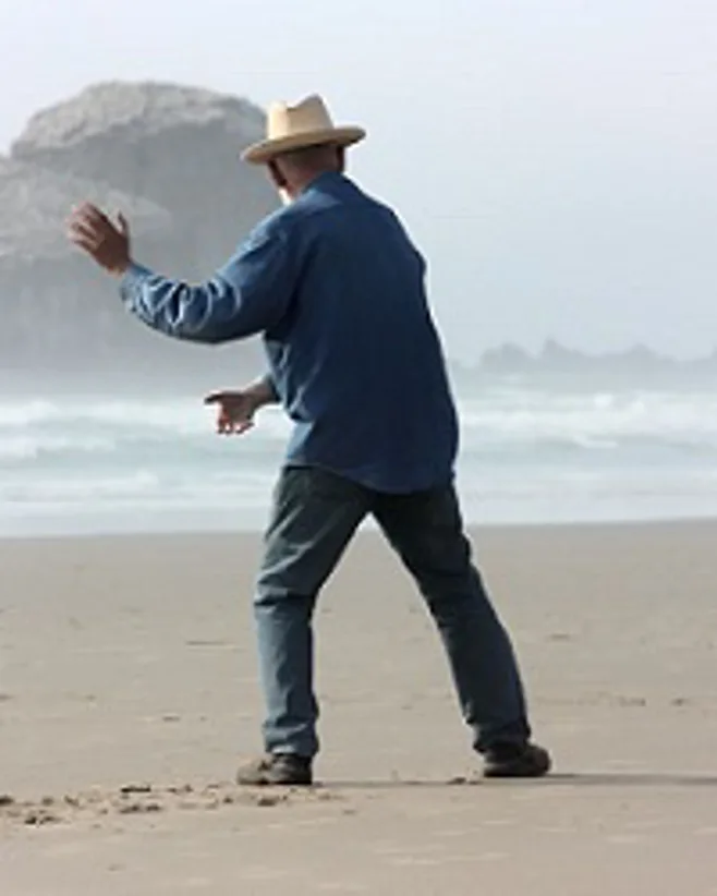 tai-chi tai-chi