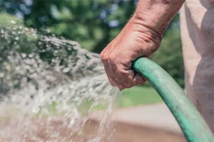 Watering Your Alert1 Garden Watering Your Alert1 Garden