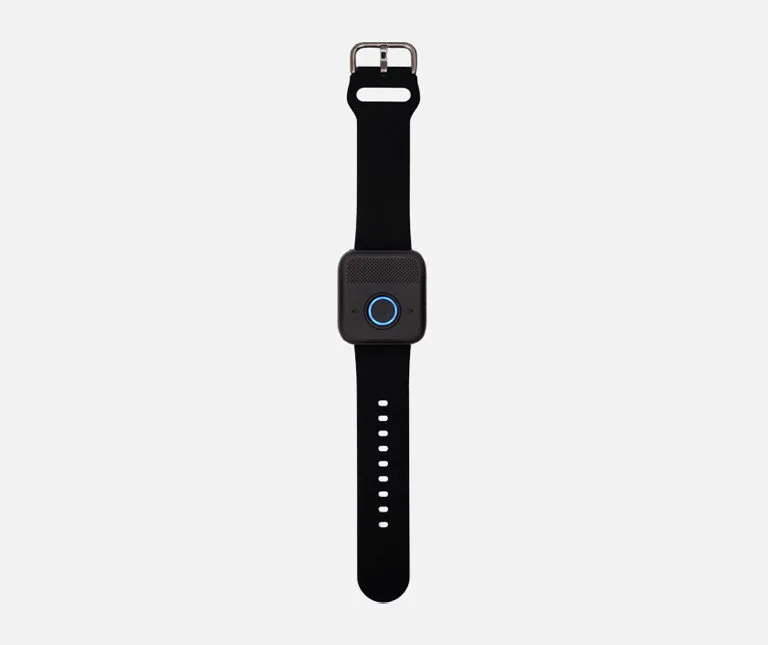 Replacement Wristband for On-the-Go Wristband Device