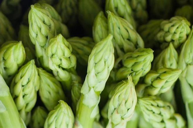 Asparagus Asparagus