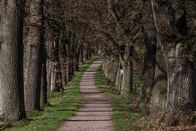 walking path walking path