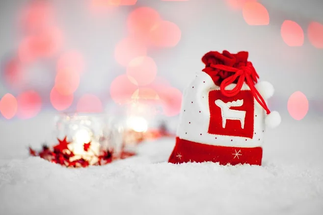 holiday gift bag holiday gift bag
