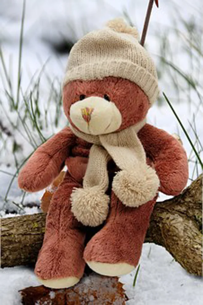 beary cold.alert1 medical alert systems beary cold.alert1 medical alert systems