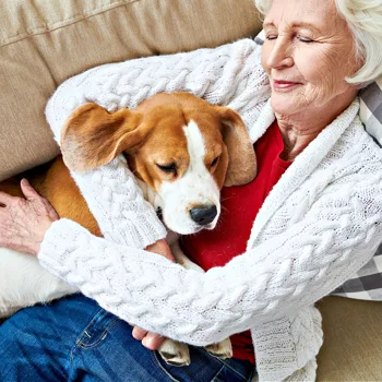 Can Pets Prevent Dementia in Seniors? Can Pets Prevent Dementia in Seniors?