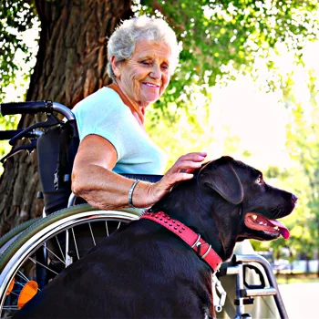 Service and Emotional Support Animals for Seniors Service and Emotional Support Animals for Seniors