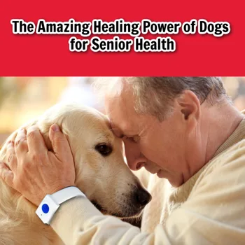 The Amazing Healing Power of Dogs for Senior Health The Amazing Healing Power of Dogs for Senior Health
