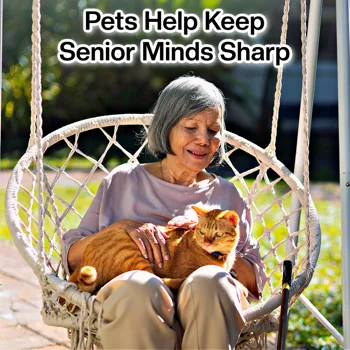 Pets Help Keep Senior Minds Sharp Pets Help Keep Senior Minds Sharp
