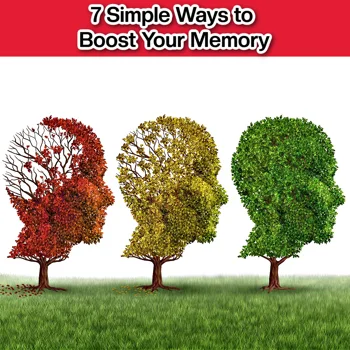 7 Simple Ways to Boost Your Memory 7 Simple Ways to Boost Your Memory