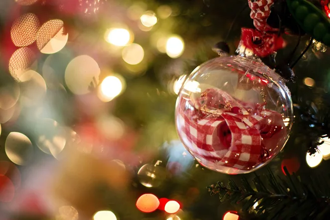 Christmas ornaments in tree Christmas ornaments in tree