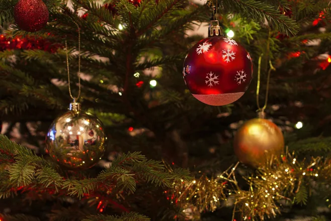 Christmas ornaments in tree Christmas ornaments in tree