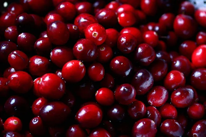 Cranberries Cranberries