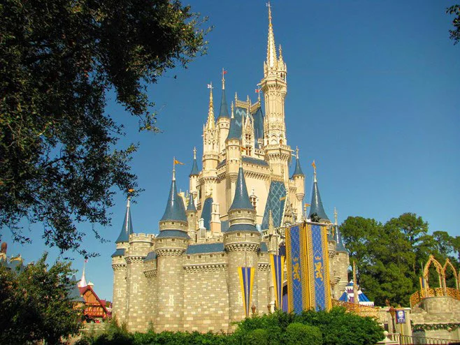 disney world castle disney world castle