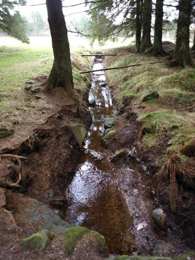 ditch in the forest ditch in the forest