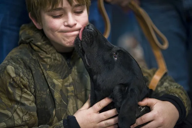 dog licking child face.alert1