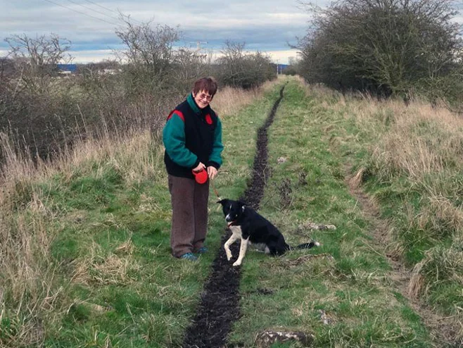 senior walking dog senior walking dog