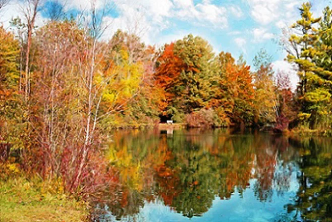 Lake during Autumn Lake during Autumn