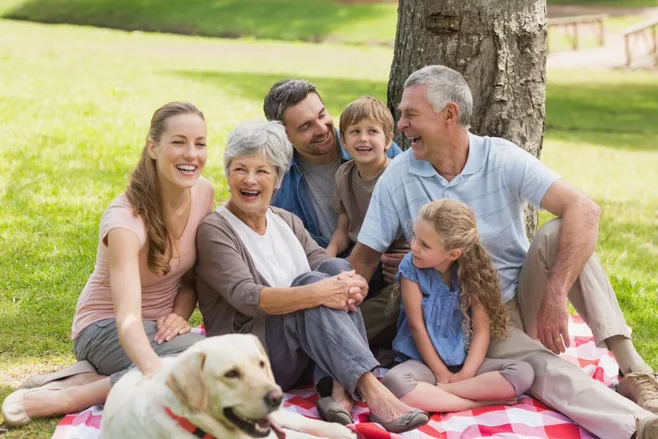 family family