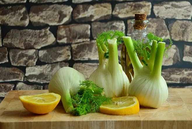 fennel bulb.alert1 medical alerts fennel bulb.alert1 medical alerts