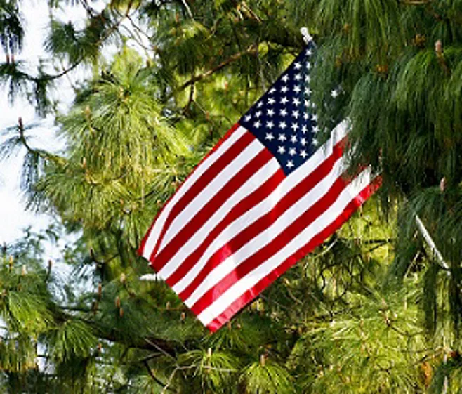 american flag american flag