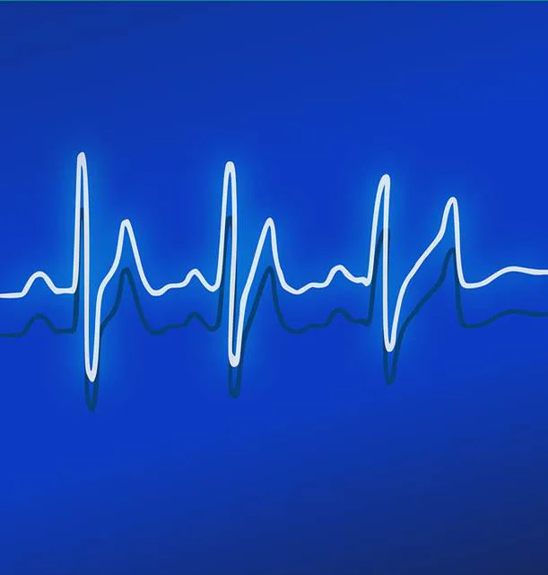 Healthy Pulse Senior Health Healthy Pulse Senior Health