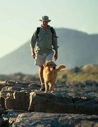 Man Walking Dog Man Walking Dog