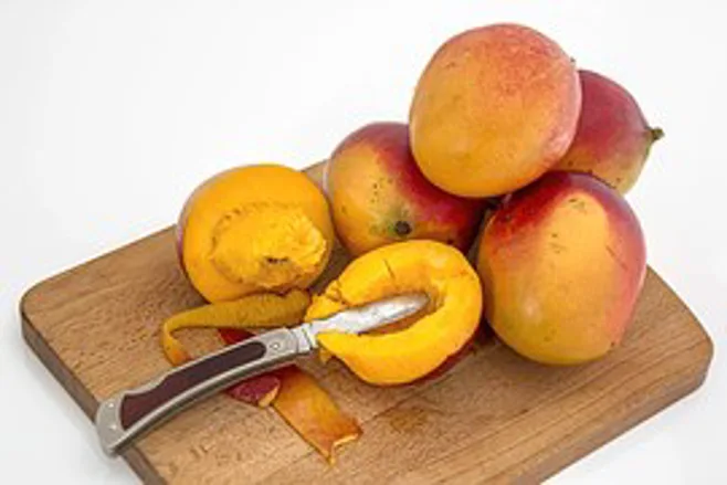 mangos.alert1 medical alert systems mangos.alert1 medical alert systems