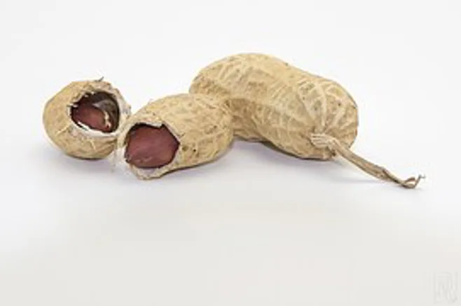 peanuts.alert1 medical alert systems peanuts.alert1 medical alert systems