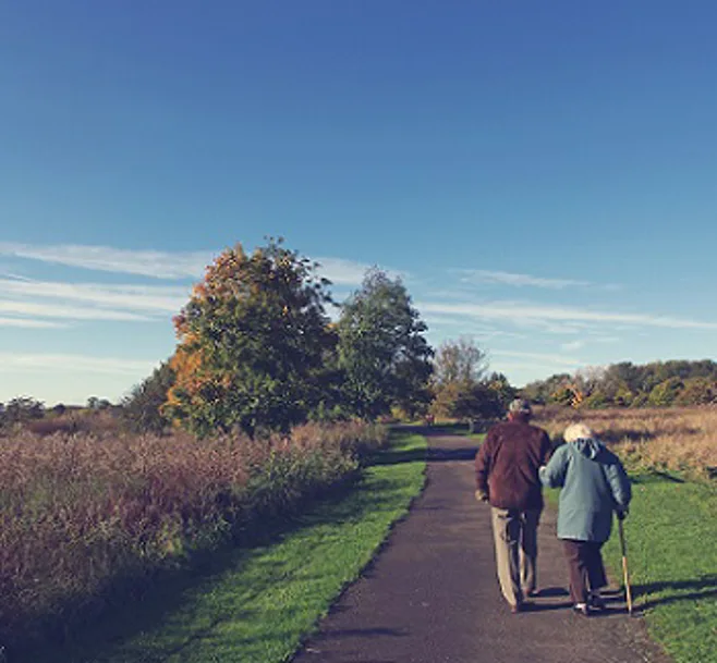 senior couple walking in park senior couple walking in park