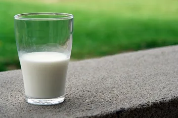 cup of milk  cup of milk