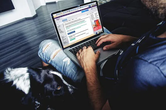Man on computer with dog Man on computer with dog