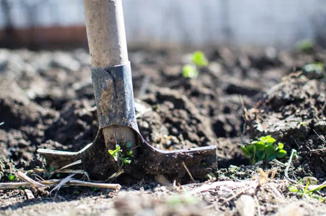 shovel in dirt shovel in dirt
