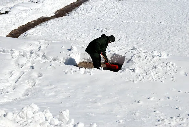 shoveling snow shoveling snow