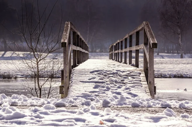 lonely snow lonely snow