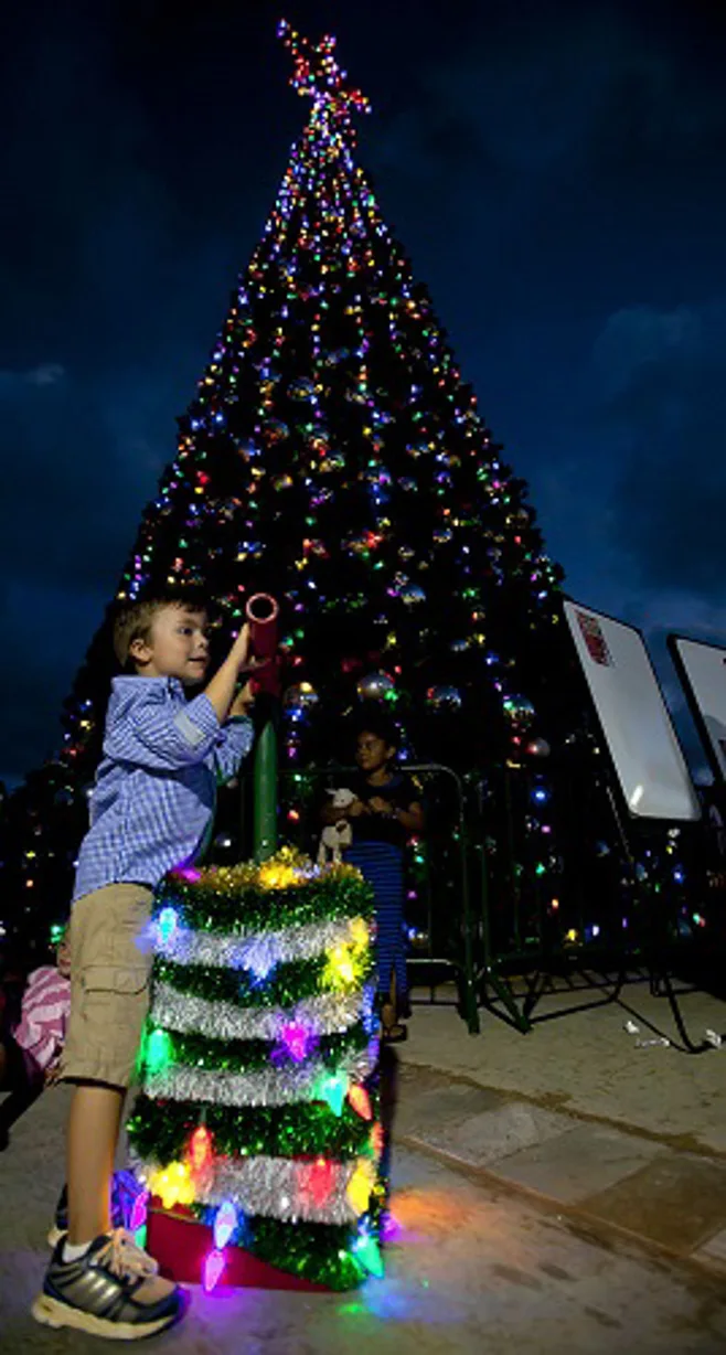 tree lighting tree lighting