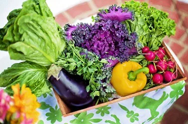 vegetables from garden.alert1