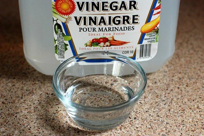 white vinegar in cup white vinegar in cup