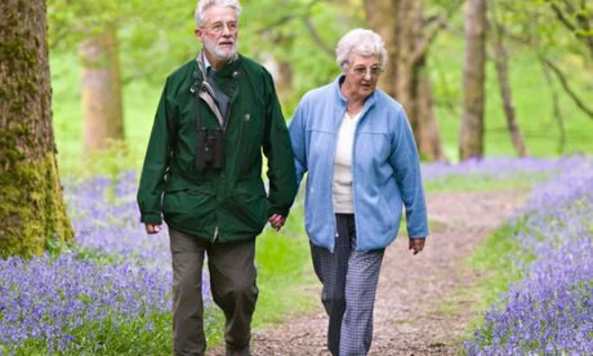 senior couple walking senior couple walking