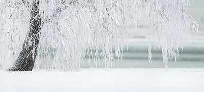 Winter landscape.alert1 medical alert systems Winter landscape.alert1 medical alert systems